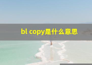 bl copy是什么意思